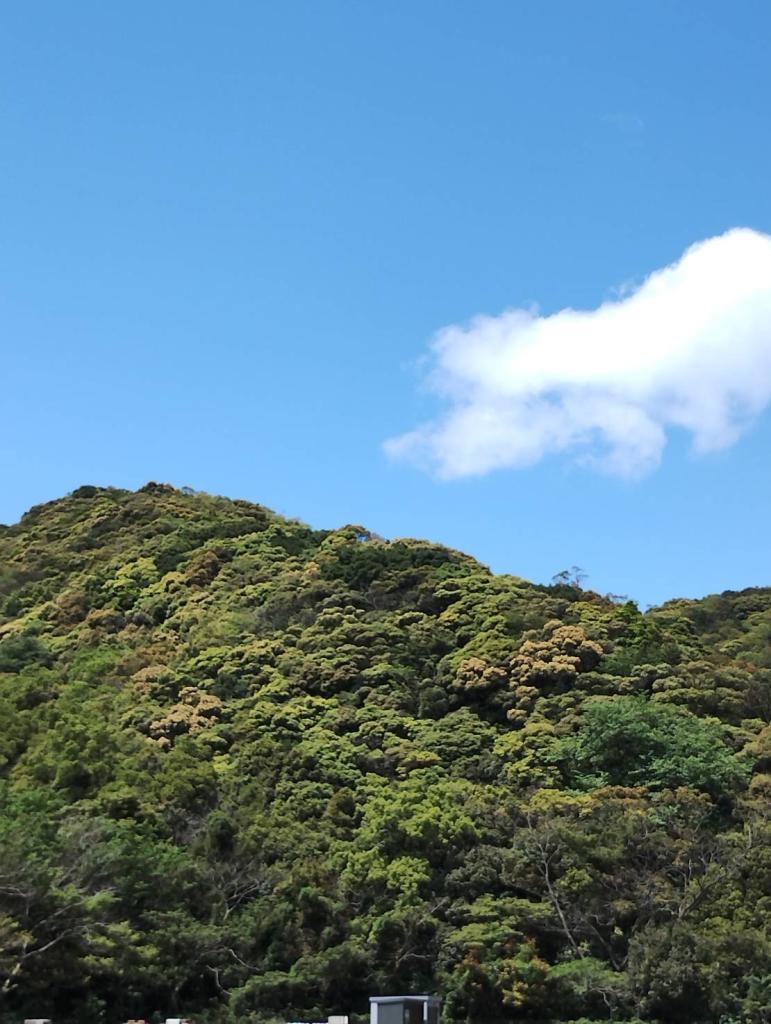 新緑の山